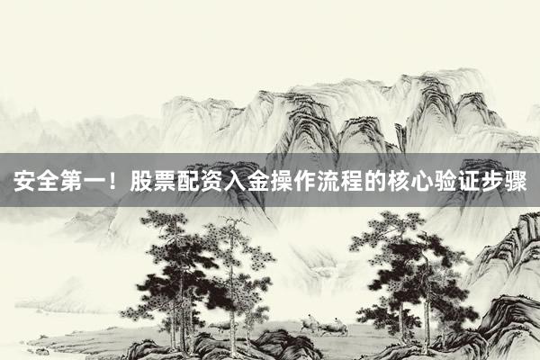 安全第一！股票配资入金操作流程的核心验证步骤